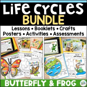 Butterfly and Frog Life Cycles