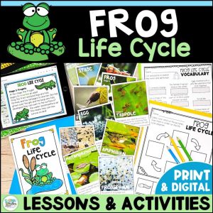 Frog Life Cycle Activities