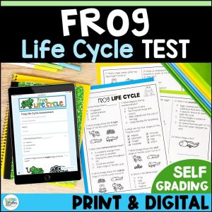 Frog Life Cycle Test